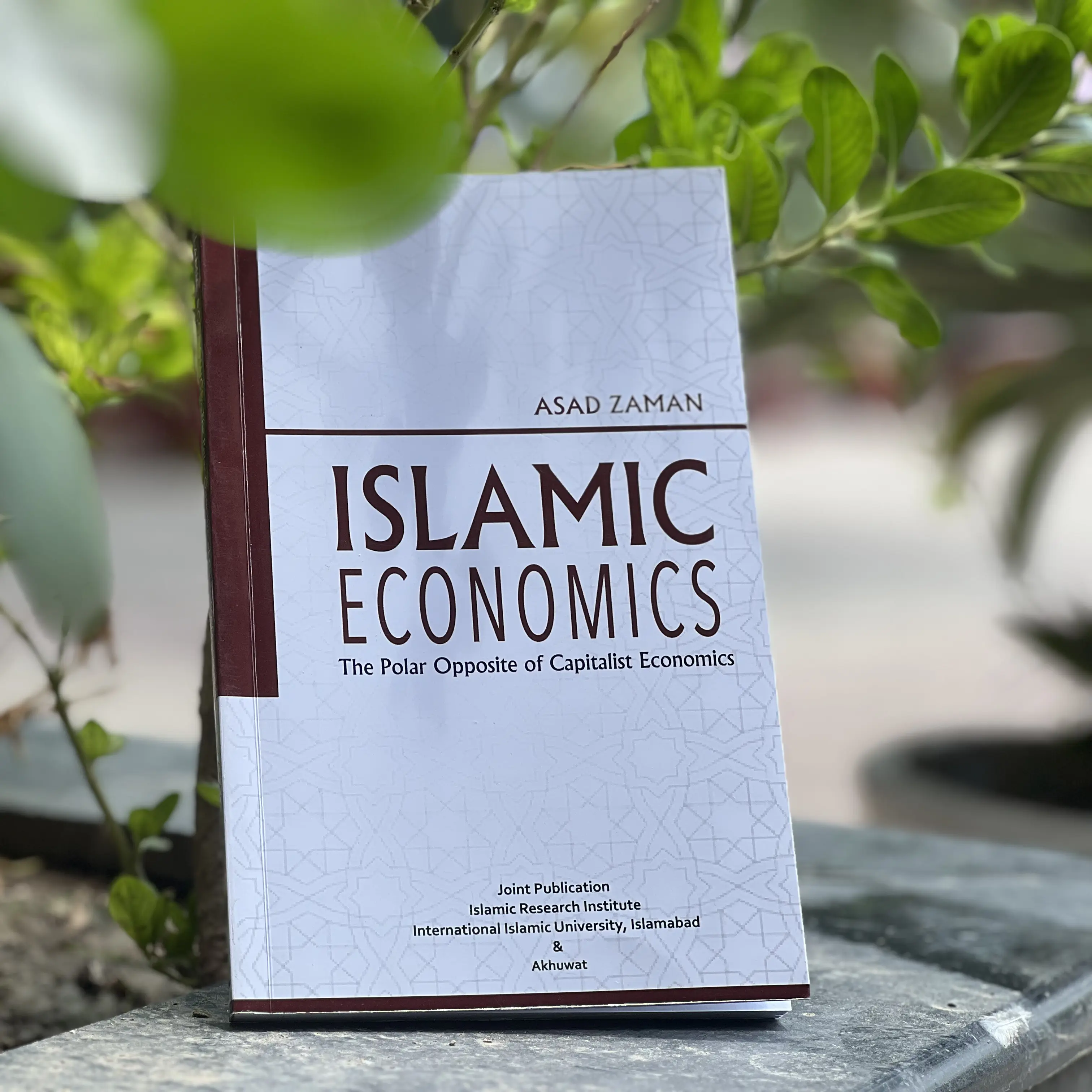 Dr. Asad Zaman Book